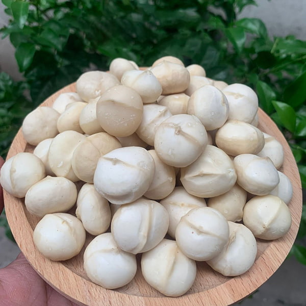 Hạt Macca sấy tách vỏ 500gr (nhân nguyên 1)